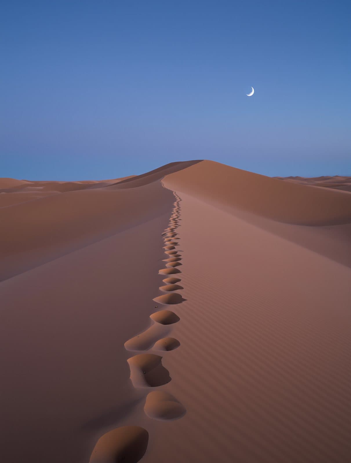 desert dunes at blue hour, one line of footprints, a crescent moon
